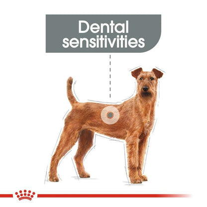 Royal Canin Medium Breed Dental Care Dry Dog Food 3 kg / 10 kg