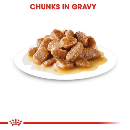 Royal Canin Mini Adult Wet Dog Food (in Gravy) - 12x85g, 24x85g, 48x85g Pouches
