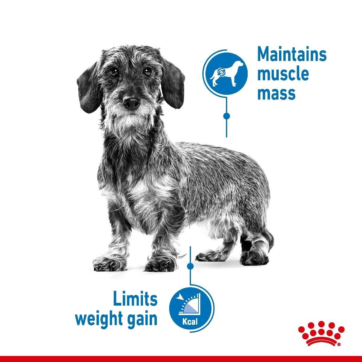 Royal Canin Mini Light Weight Care Adult Dry Dog Food - 3kg, 8kg