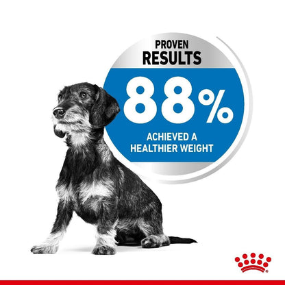 Royal Canin Mini Light Weight Care Adult Dry Dog Food - 3kg, 8kg