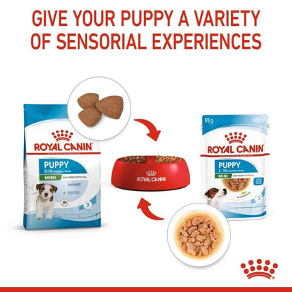 Royal Canin Mini Puppy Wet Dog Food (in Gravy) - 12 x 85g , 48 x 85g Pouches