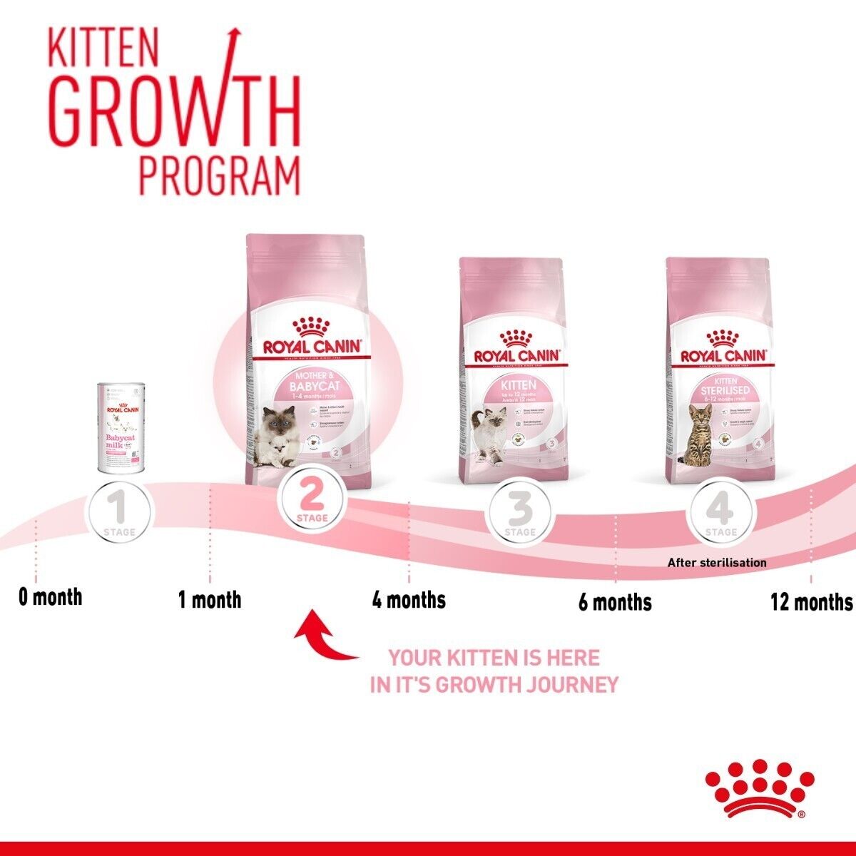 Royal Canin Mother & Babycat Dry Cat Food - 400g, 2kg, 4kg