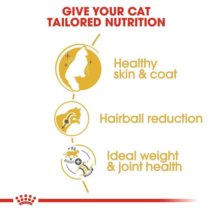 Royal Canin Norwegian Forest Cat Adult Dry Cat Food - 2kg, 10kg