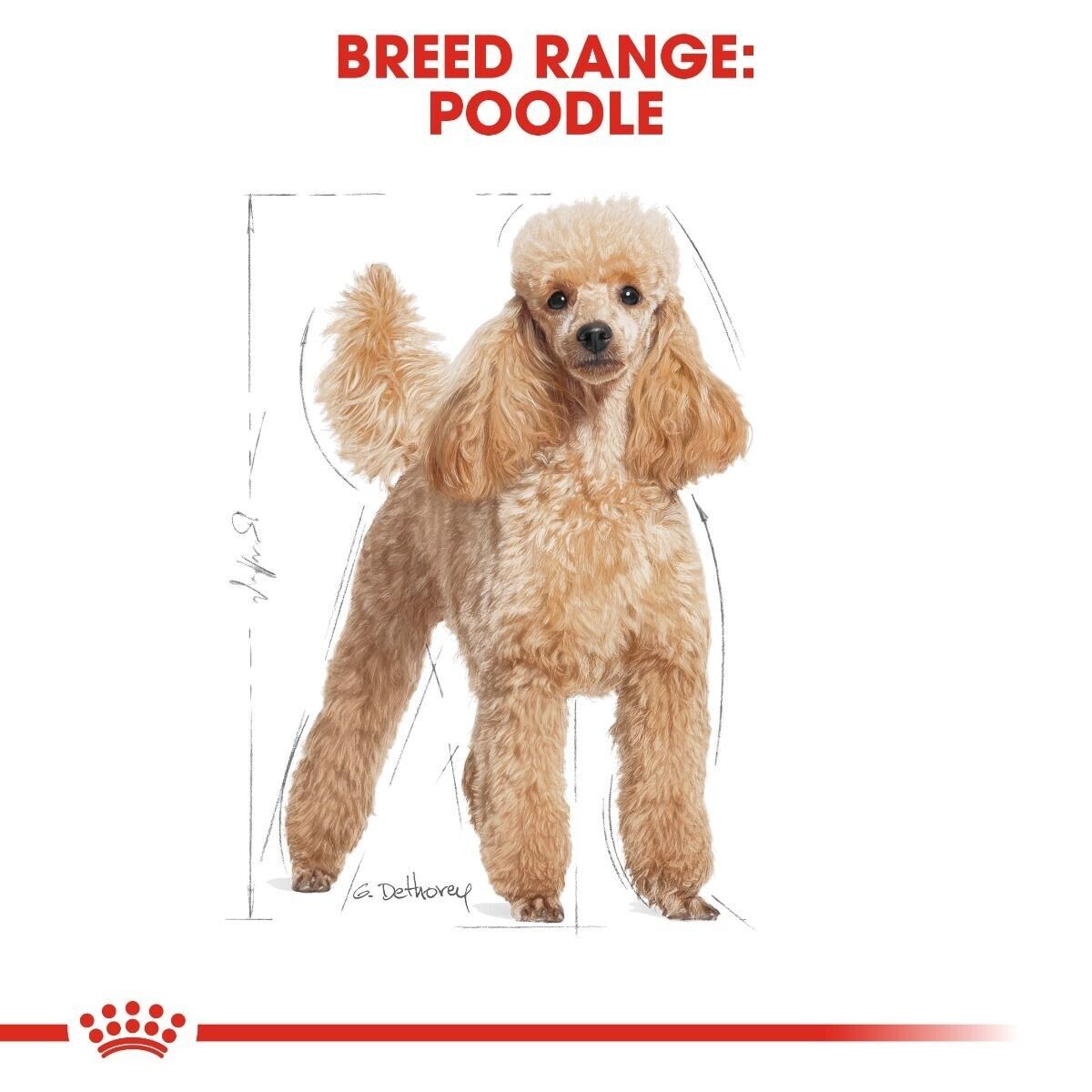 Royal Canin Poodle Adult Dry Dog Food - 1.5kg, 7.5kg