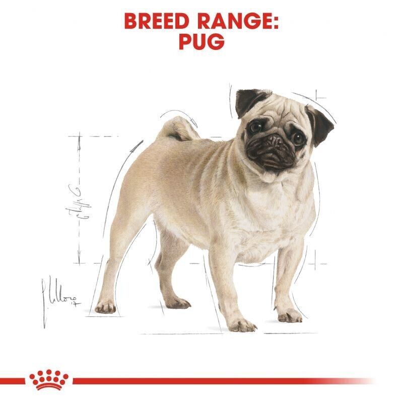 Royal Canin Pug Complete Dry Dog Food for Adult Pugs - 1.5kg