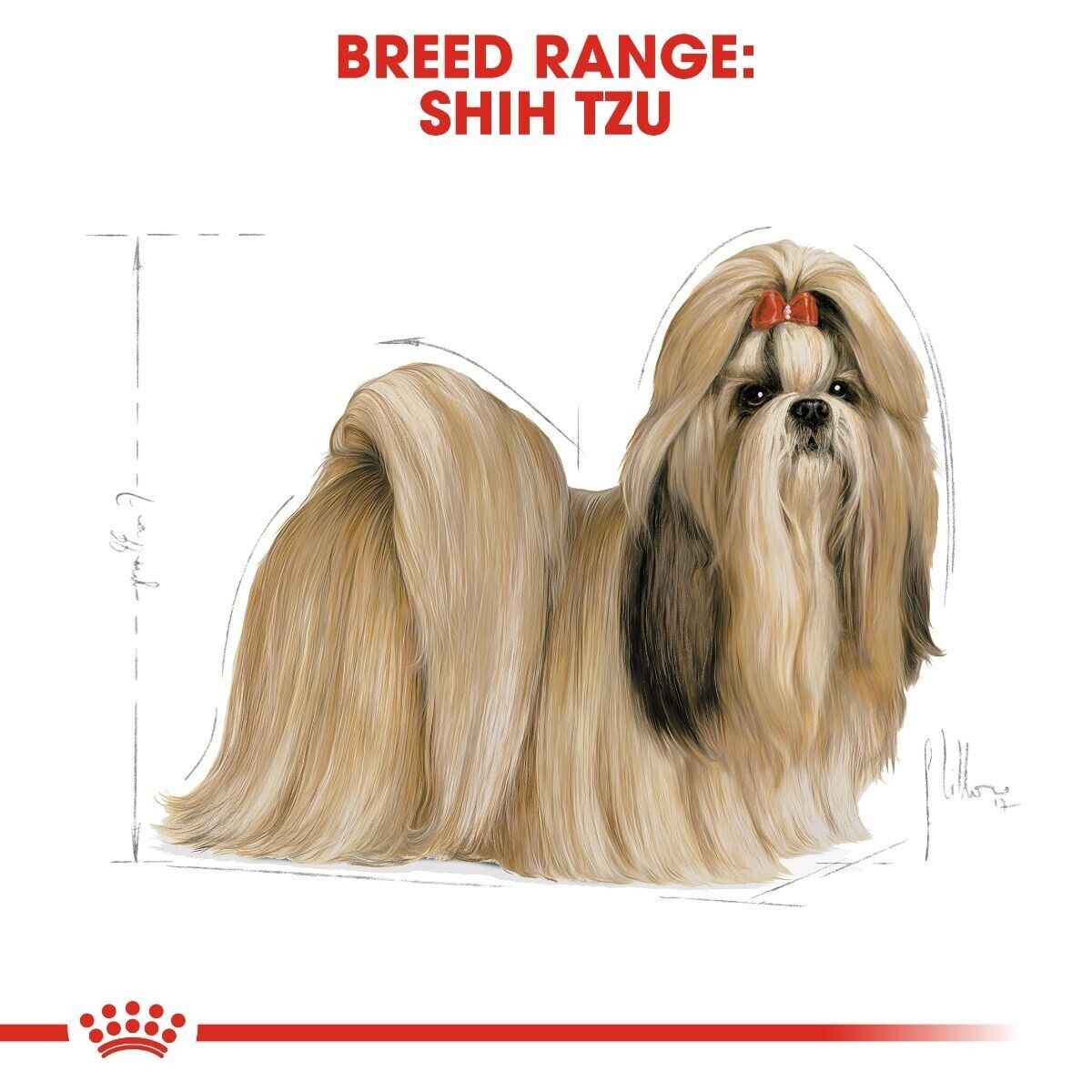 Royal Canin Shih Tzu Adult Dry Dog Food - 1.5kg, 7.5kg