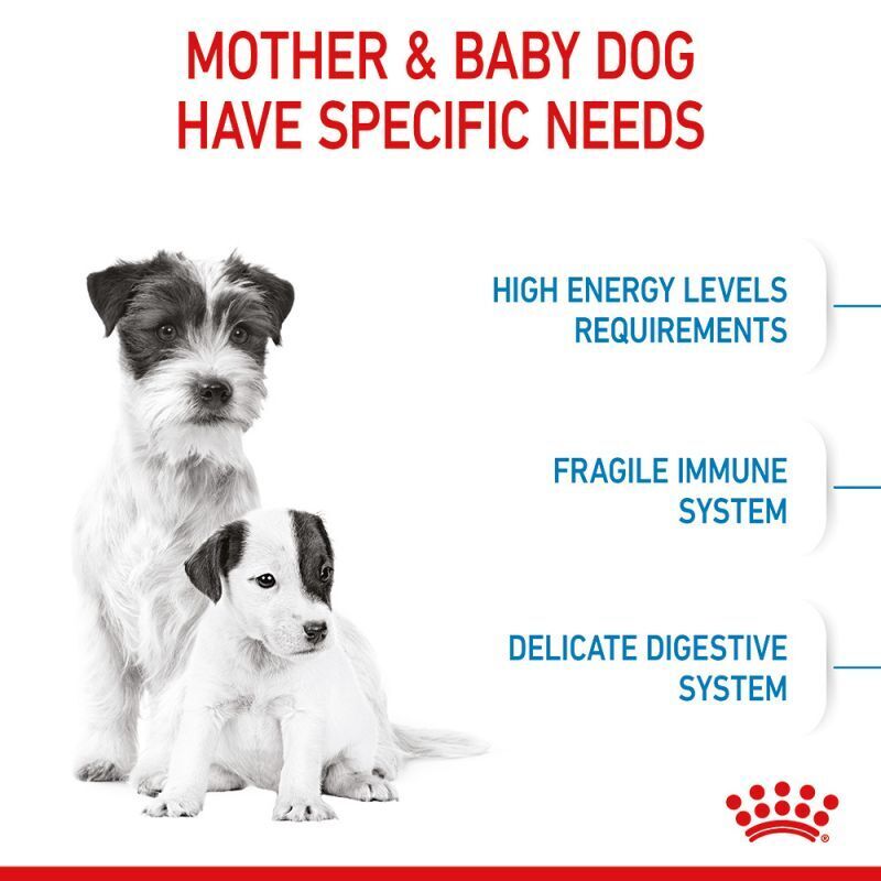 Royal Canin Starter Mother & Babydog Mini Breed Dry Dog Food 1 kg / 4 kg / 8 kg