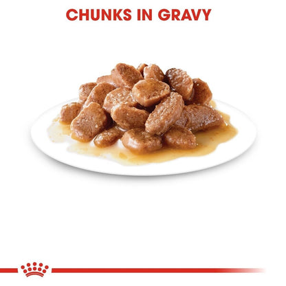 Royal Canin Urinary Care Wet Cat Food (in Gravy) Pouches - 12x85g, 48x85g