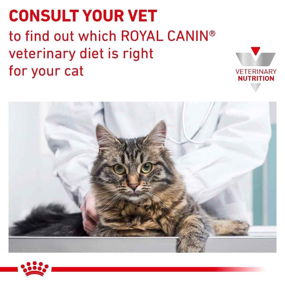 Royal Canin Veterinary Cat Anallergenic Dry Cat Food - 2kg, 4kg