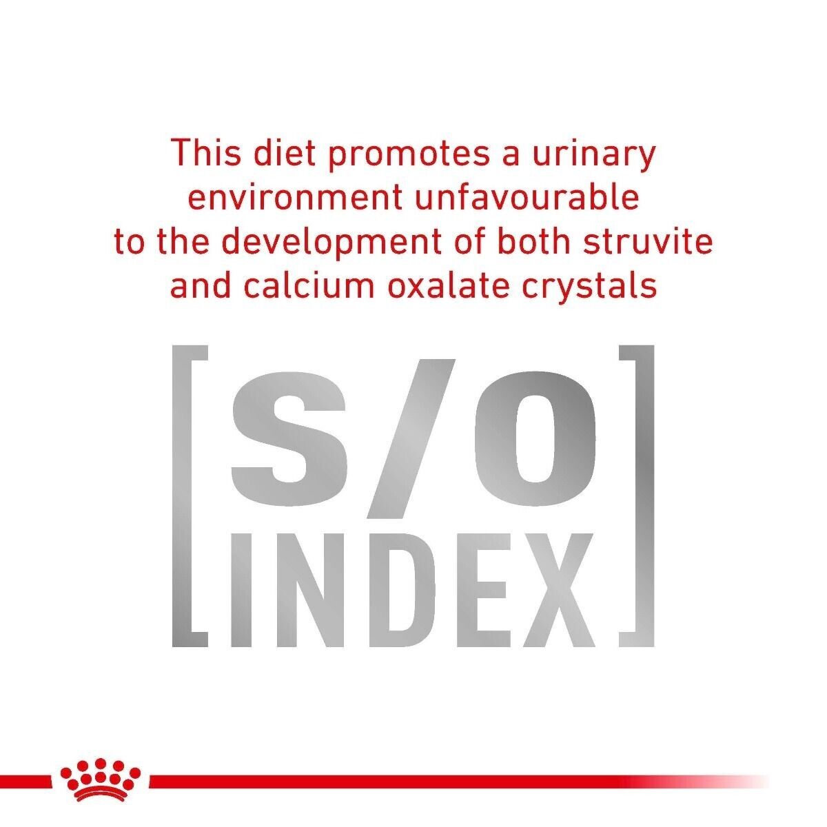 Royal Canin Veterinary Cat Early Renal Wet Cat Food - 12 / 48 x 85g