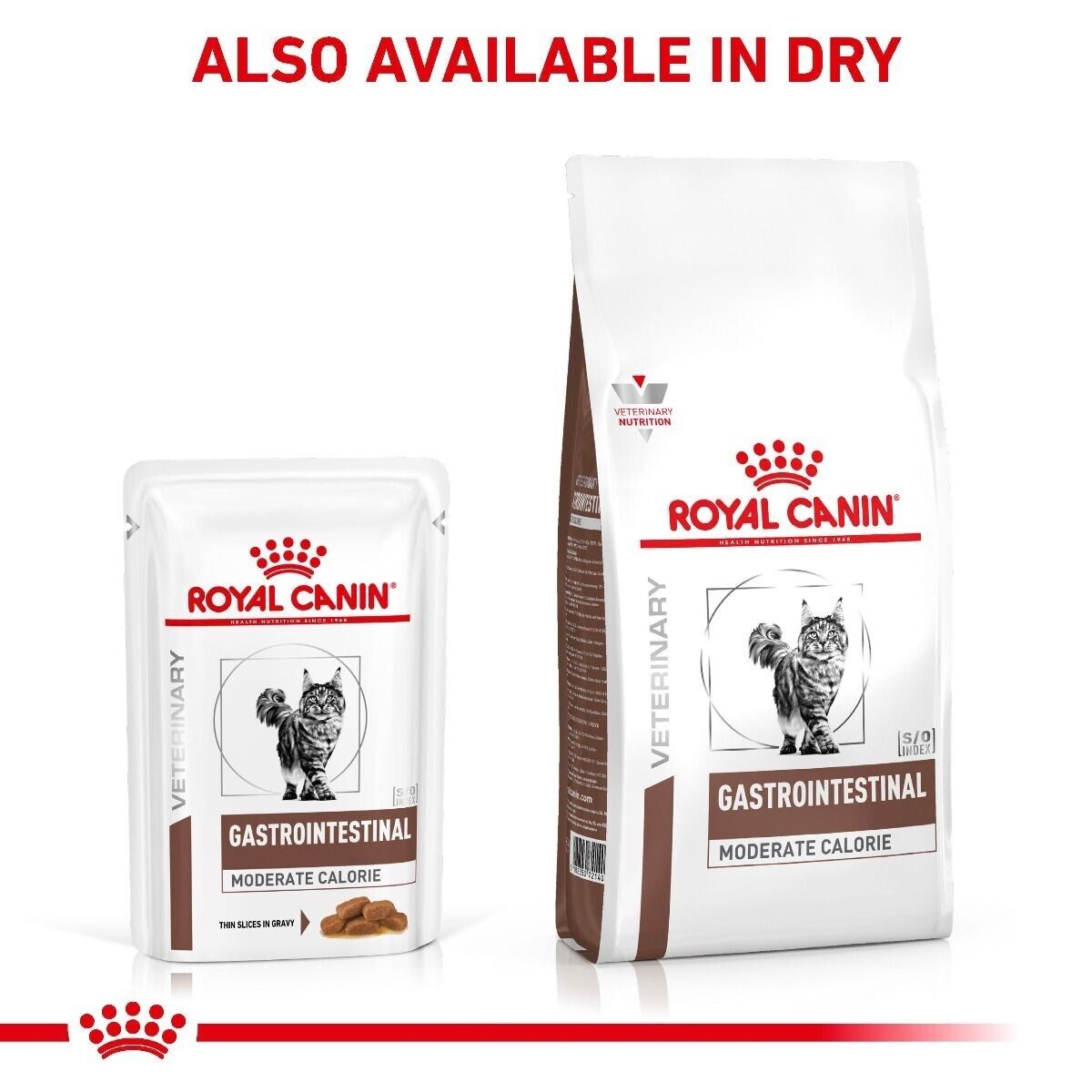 Royal Canin Veterinary Cat Gastrointestinal Moderate Calorie Wet - 12 / 48 x 85g
