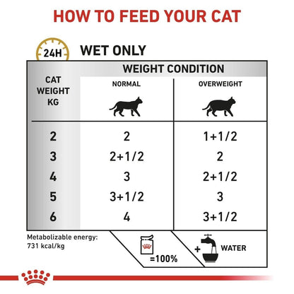 Royal Canin Veterinary Cat Urinary S/O Moderate Calorie Wet Food - 12 / 48 x 85g