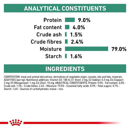 Royal Canin Veterinary Diet Diabetic Special Wet Dog Food (In Loaf) - 12x410g