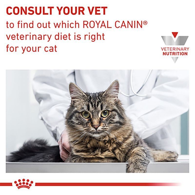 Royal Canin Veterinary Diets Renal Cat Food Pouches with Chicken, 12x85g / 48x85g