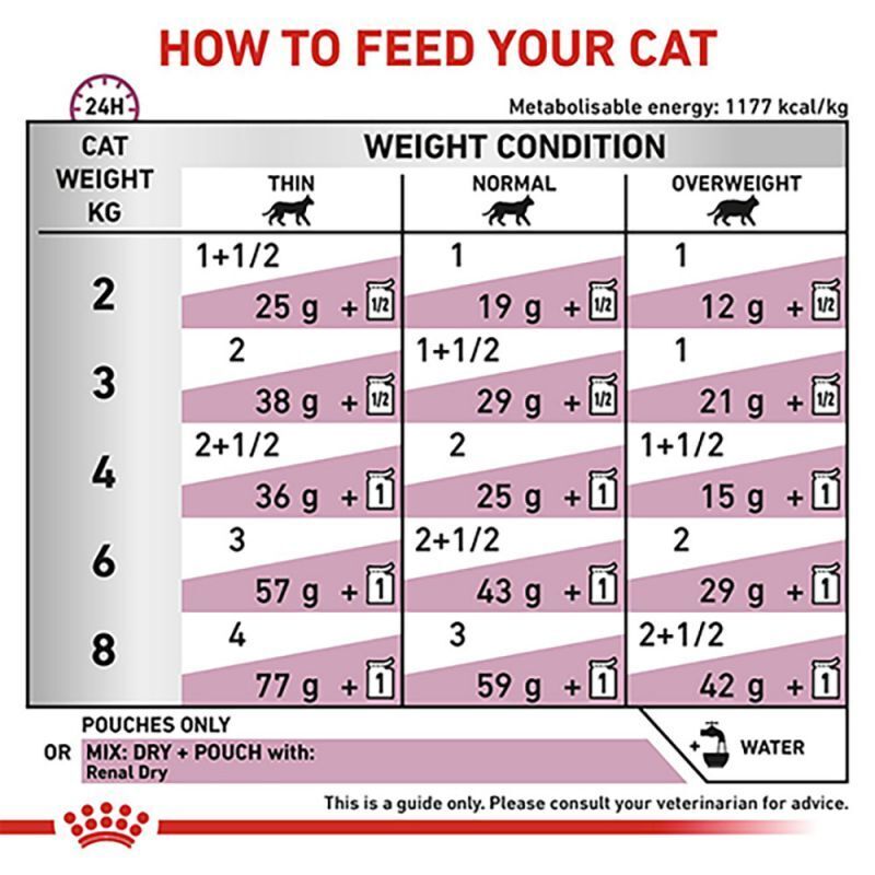 Royal Canin Veterinary Diets Renal Cat Food Pouches with Chicken, 12x85g / 48x85g