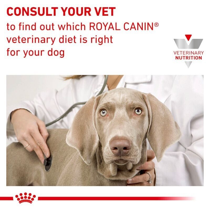 Royal Canin Veterinary Dog Adult Dry Food Gastro Intestinal