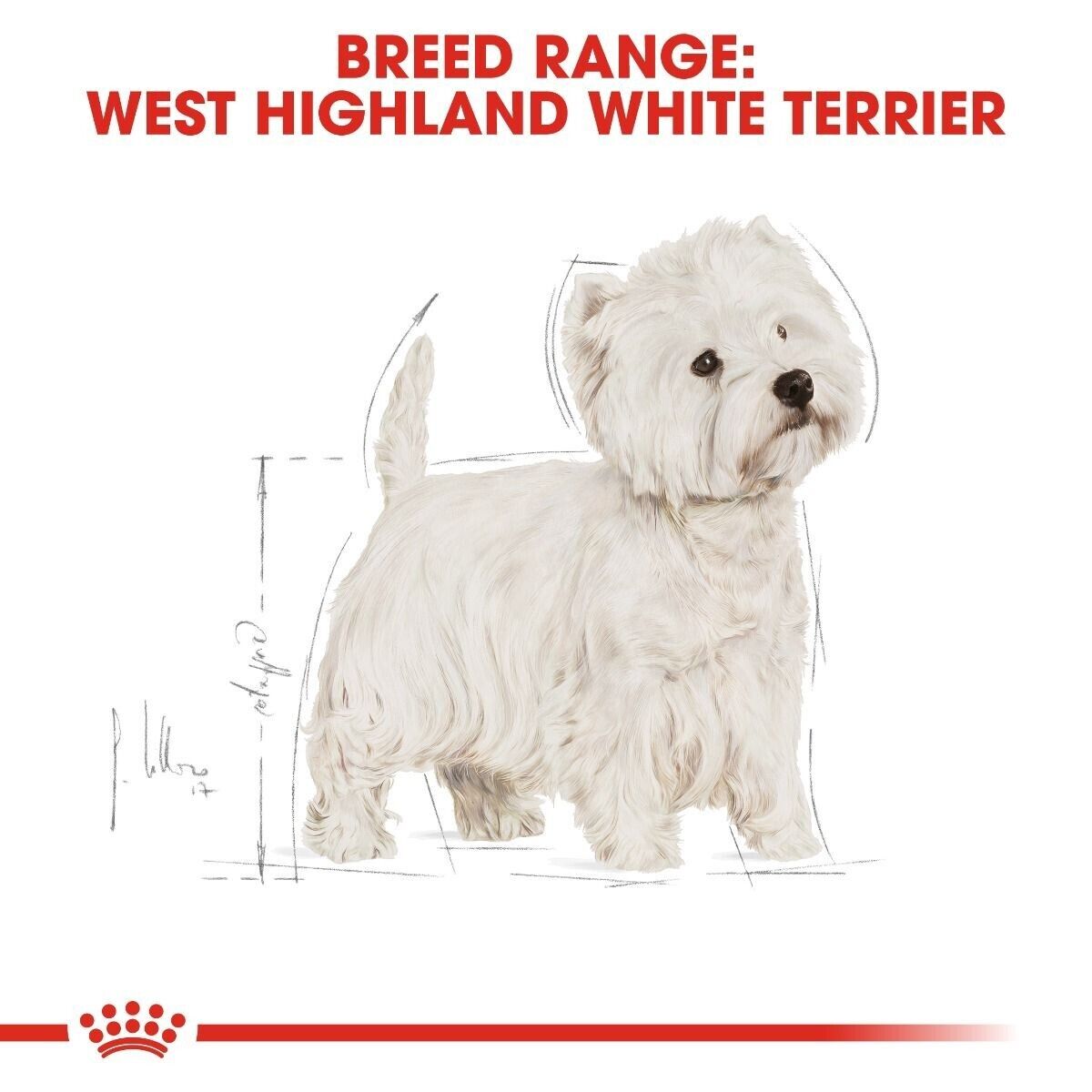 Royal Canin West Highland White Terrier Adult Dry Dog Food - 1.5kg, 3kg