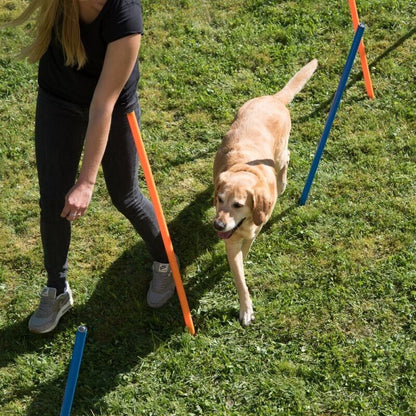 12 x Dog Agility Weave Poles Training Obstacles Slalom Equipment - Blue & Orange