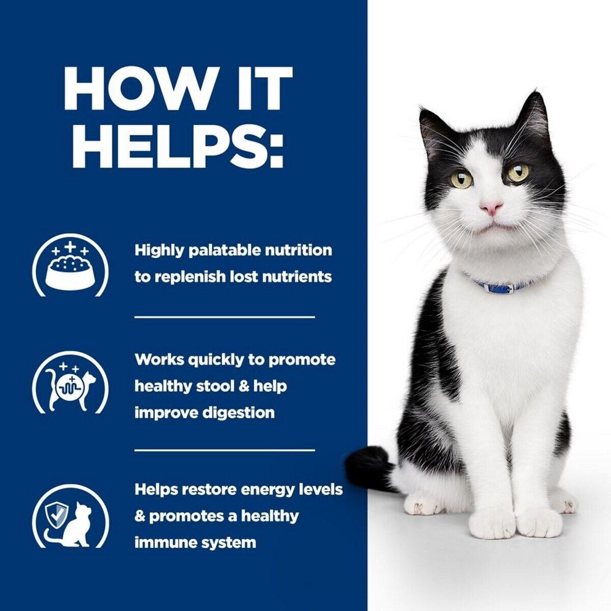 Hill's Prescription Diet Feline i/d Digestive Care Wet Cat Food in Pouches