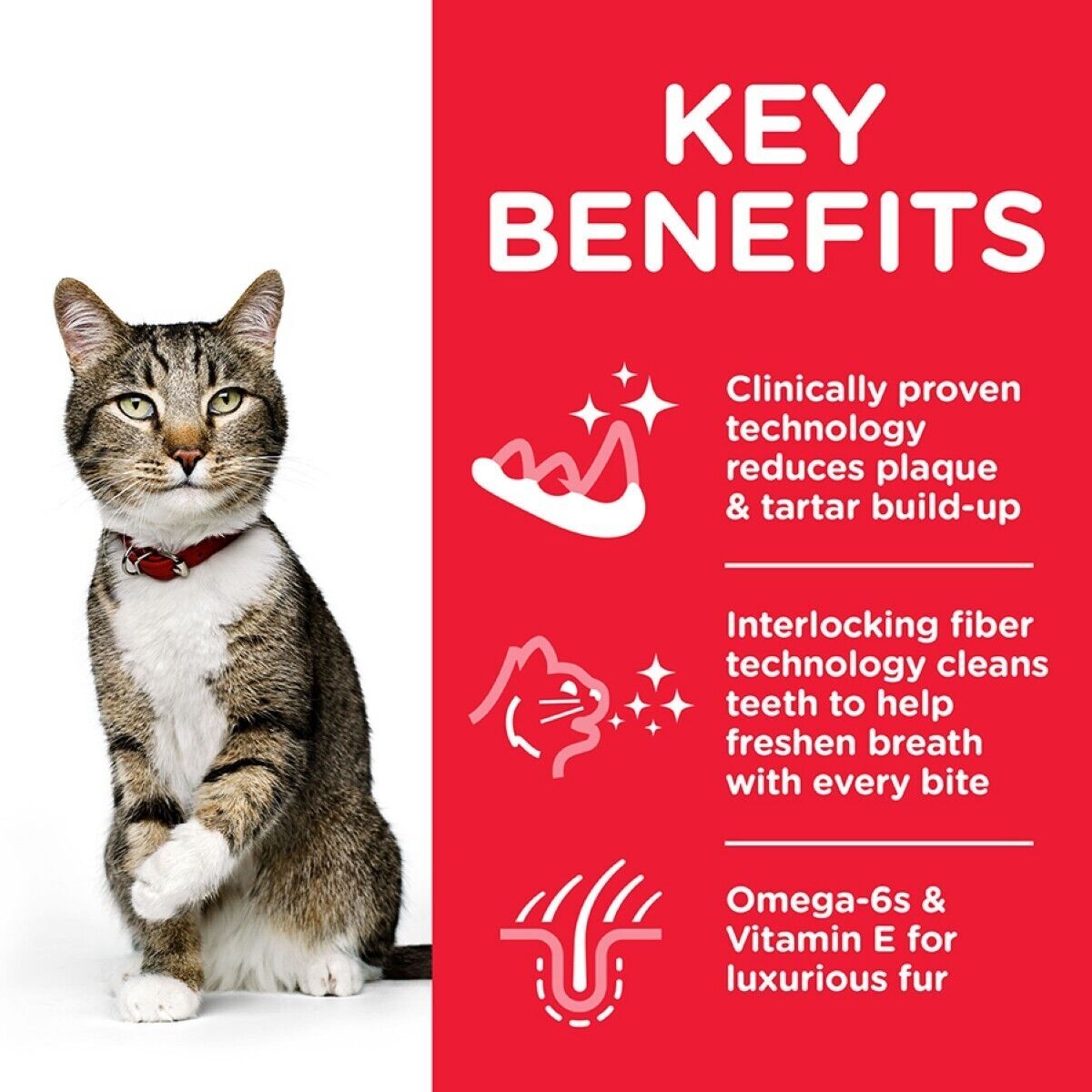 Hill's Science Plan Adult 1+ Oral Care Dry Cat Food Chicken Flavour - 1.5 kg , 3 kg , 7kg