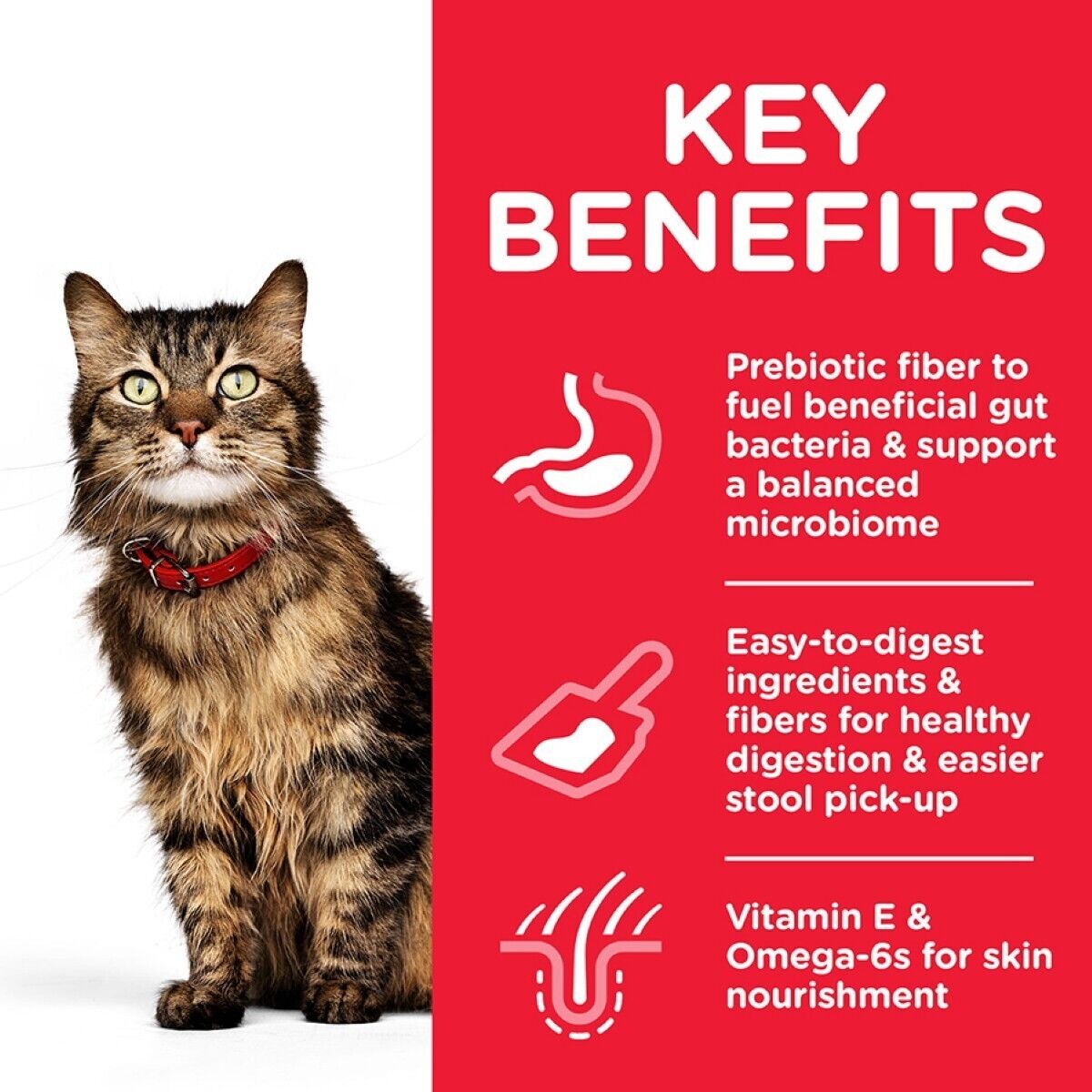 Hill's Science Plan Adult 1+ Sensitive Stomach & Skin Dry Cat Chicken 1.5kg, 7kg