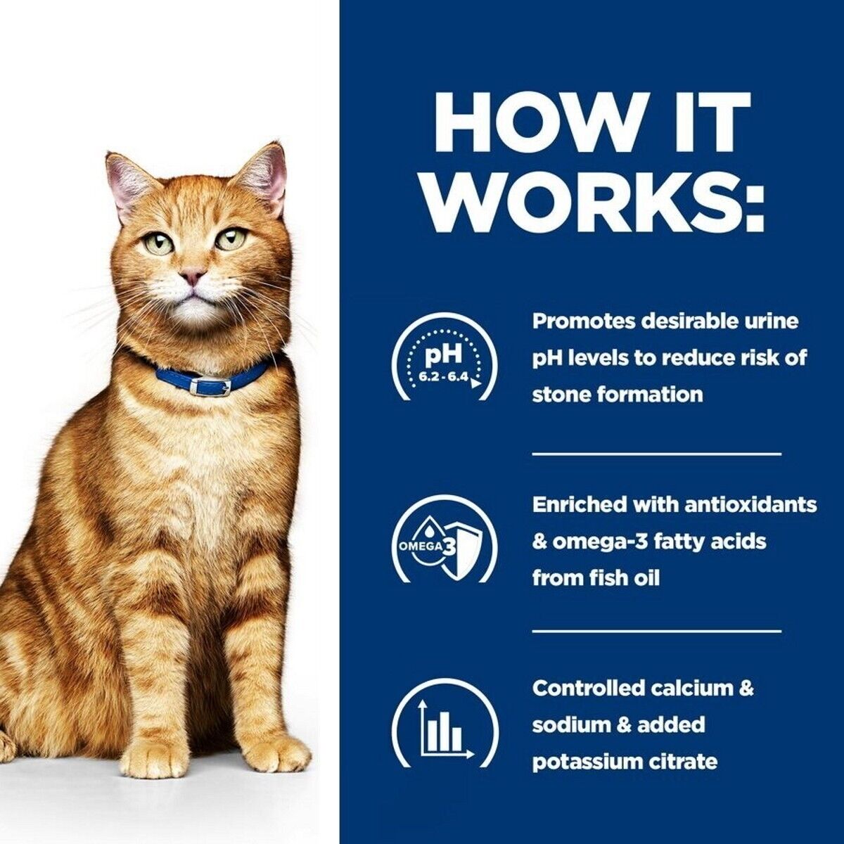 Hill's Prescription Diet c/d Multicare Urinary Care Wet Cat Food Stew - 24x82g