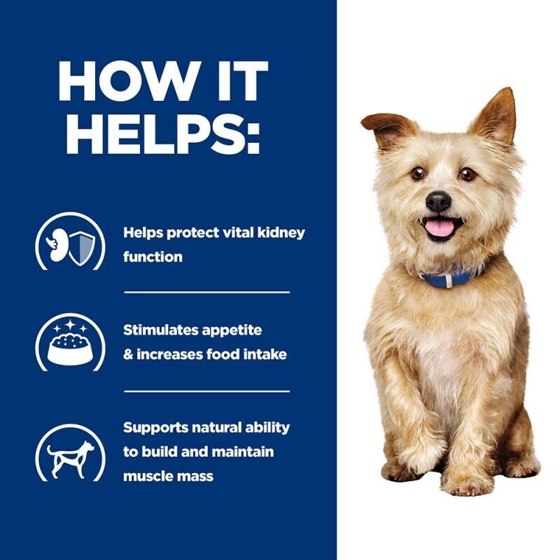 Hill’s Prescription Diet Canine k/d Kidney Care Wet Dog Food Chicken - 12 x 370g