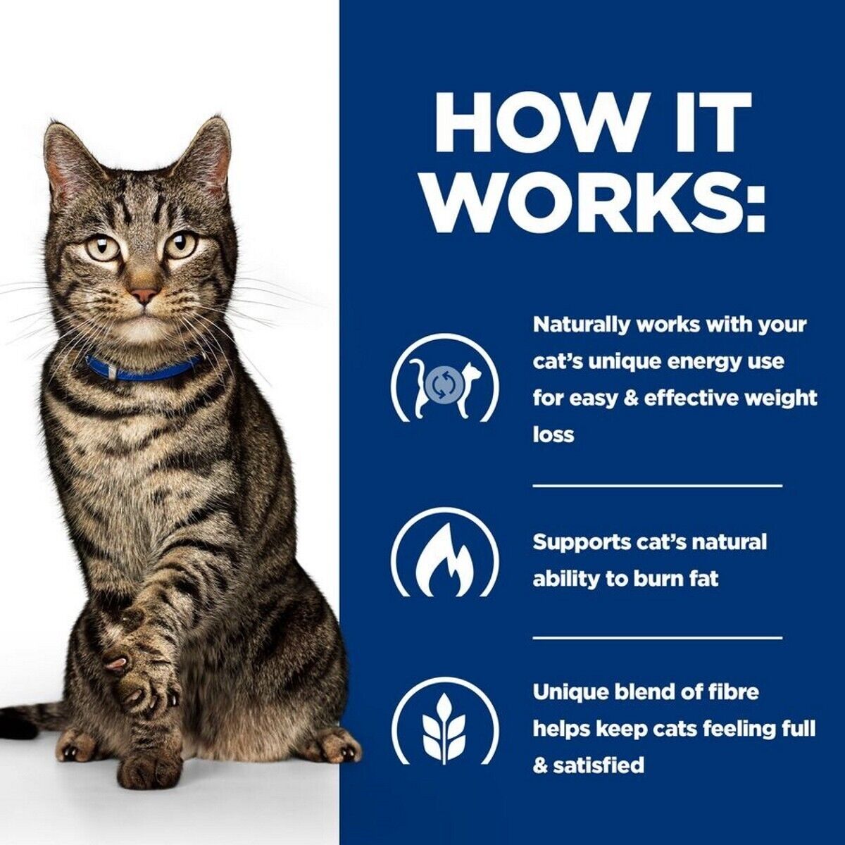 Hill’s Prescription Diet Feline Metabolic Wet Cat Food in Pouches - 12 x 85g , 24 x 85g