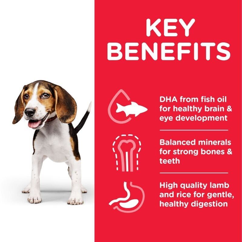Hill’s Science Plan Puppy Medium Chicken Dry Dog Food - 800g, 2.5kg, 14kg, 18kg