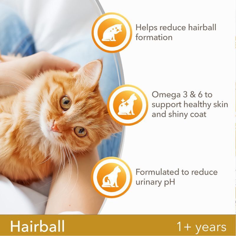 IAMS For Vitality Hairball Reduction Feline Adult Dry Cat Food Chicken 3kg , 6kg , 10 kg