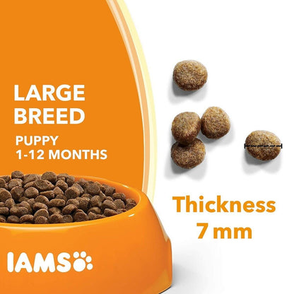 IAMS for Vitality Puppy & Junior Large Dog Dry Food with Fresh Chicken 12kg