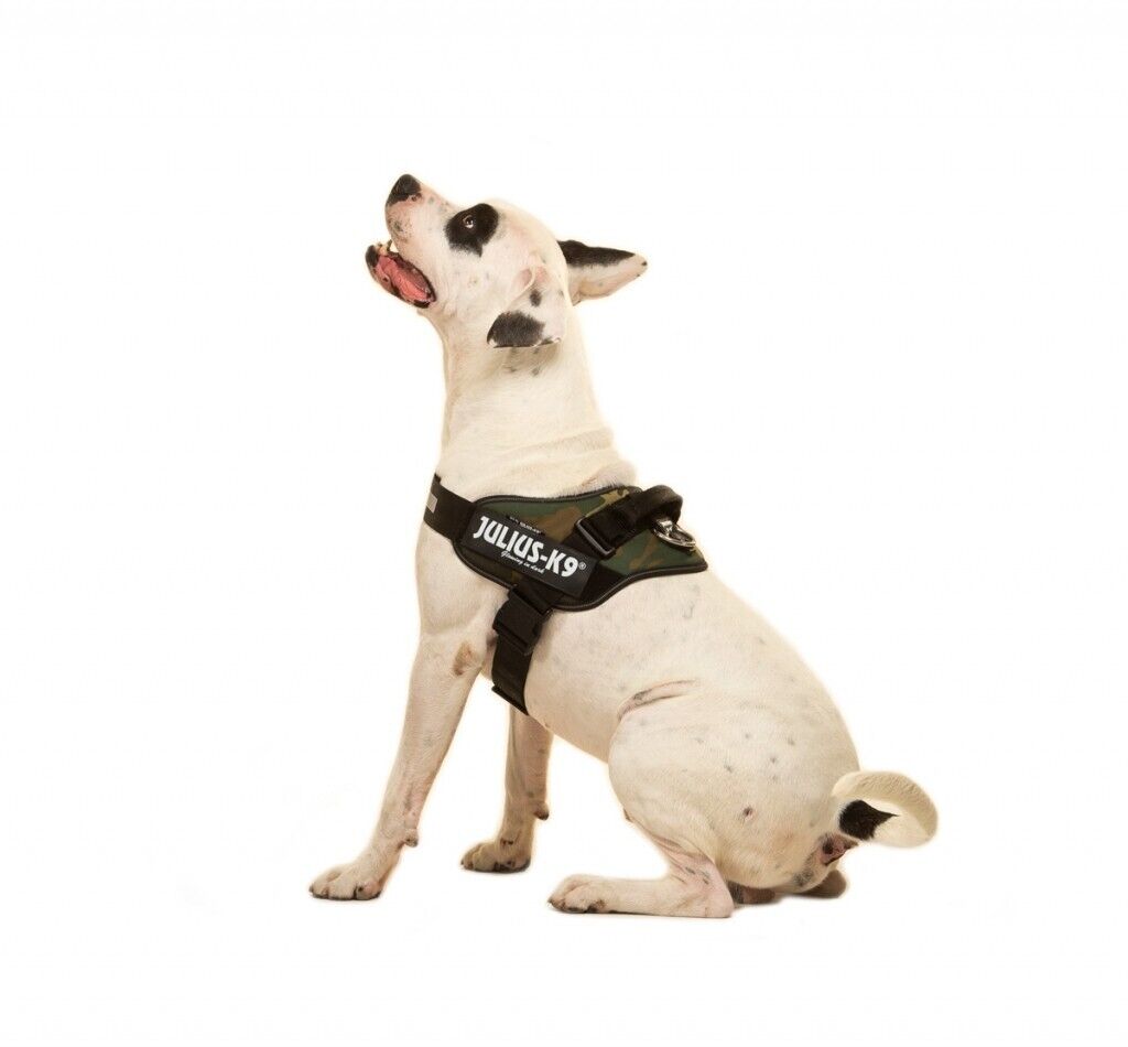 Julius K9 Dog Puppy Power Harness Strong Adjustable Reflective - Camouflage