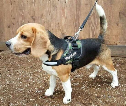 Julius K9 Dog Puppy Power Harness Strong Adjustable Reflective - Camouflage