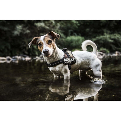 Julius K9 Dog Puppy Power Harness Strong Adjustable Reflective - Camouflage